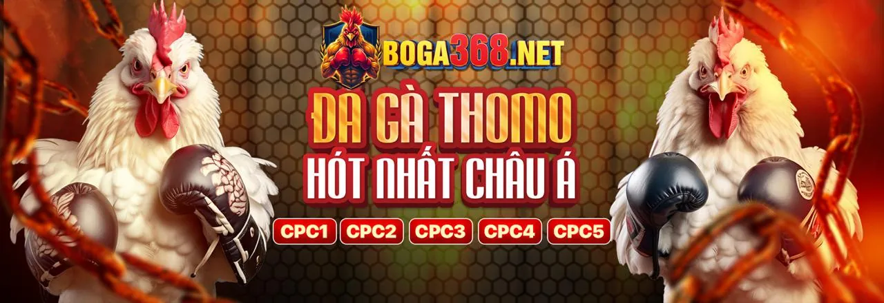 Các chương trình ưu đãi độc quyền tại 286bet trang chủ chính thức