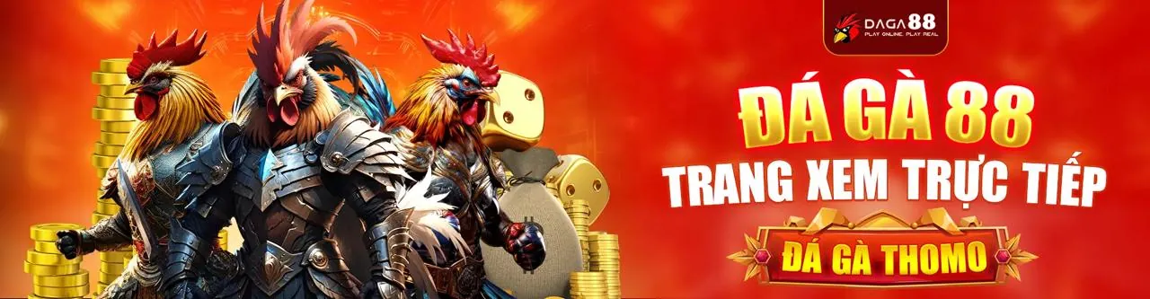 Sân đấu đá gà trực tuyến kịch tính tại 286bet